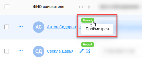 Поле &laquo;Просмотр соискателя&raquo;